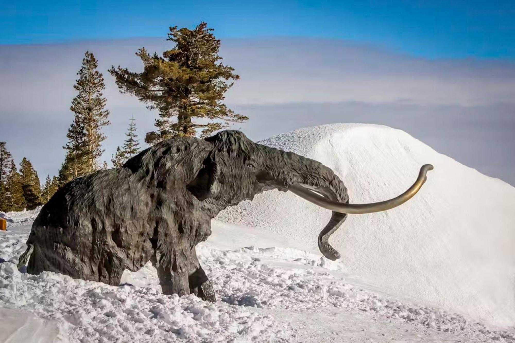 Chamonix 100 Mammoth Lakes Exterior foto